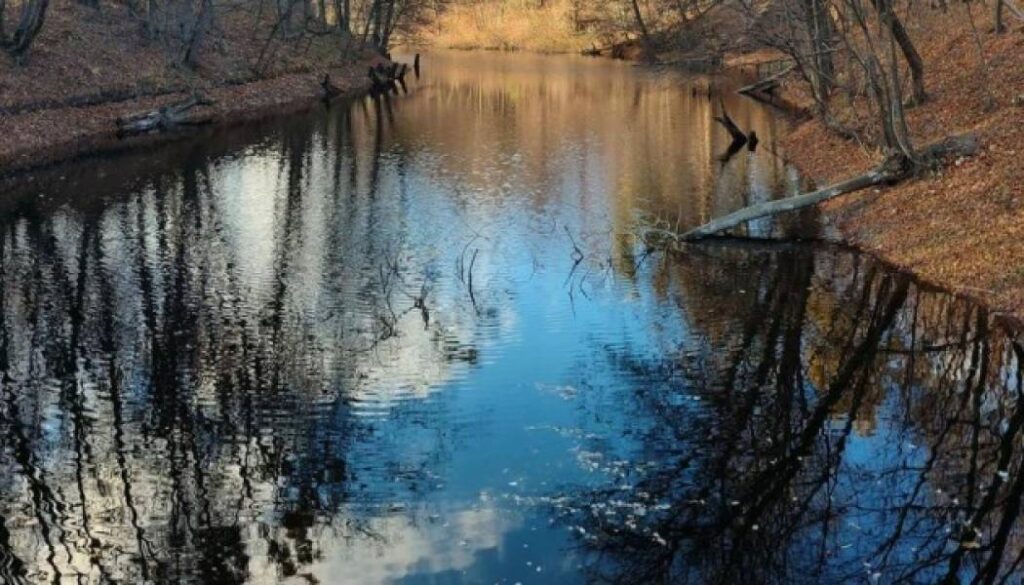 У Києві відкриють виставку «Віхи української культури в Китаї». 7 У Києві відкриють виставку «Віхи української культури в Китаї». 7