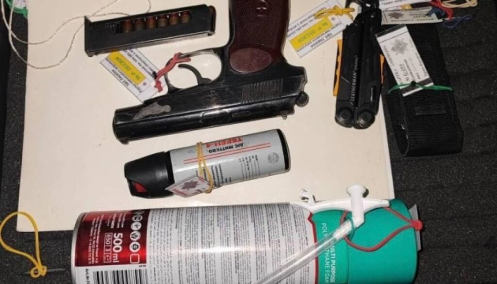 Були спроби провезти зброю, газові балончики та боєприпаси на фестиваль «Книжковий Арсенал». 1