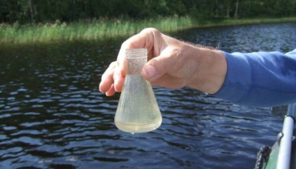 В Україні понад 12% проб води з місць купання показали надлишок кишкової палички. 24 В Україні понад 12% проб води з місць купання показали надлишок кишкової палички. 24