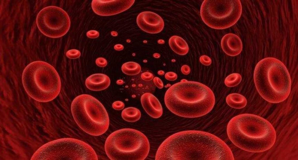 Як розпізнати дефіцит заліза в крові: які ознаки? 9