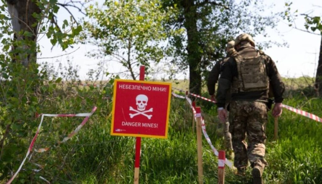 Поліцейські вибухотехніки розмінували понад 10 000 гектарів під час війни 13