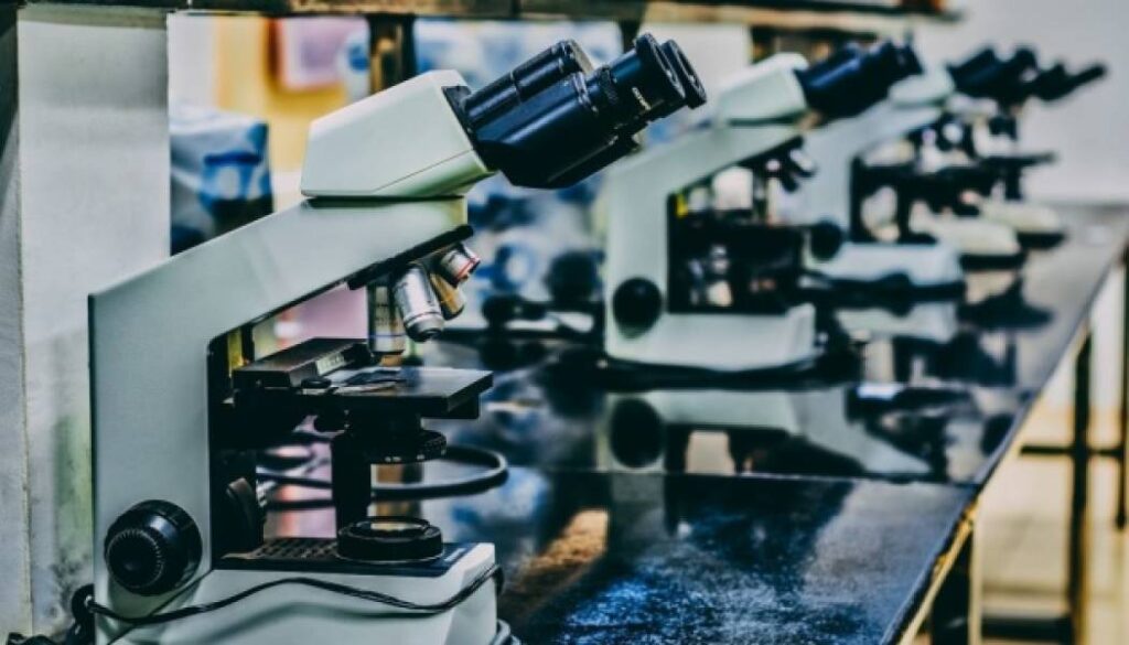 Відчуття. Відкриття. Дослідження. Щотижневий огляд (6-13 червня 2025 р.) 6