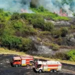 Через спеку в Україні спалахнули масштабні пожежі, найбільше постраждала Одеська область.