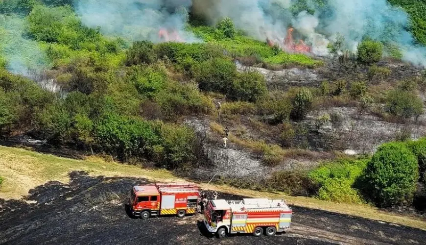 Через спеку в Україні спалахнули масштабні пожежі, найбільше постраждала Одеська область.