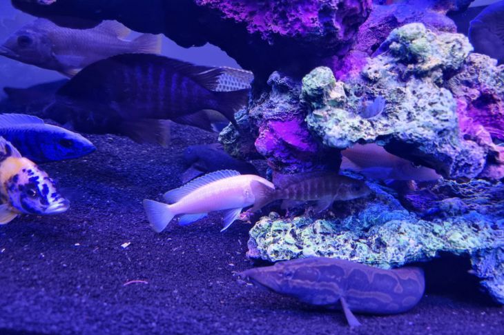 Вода