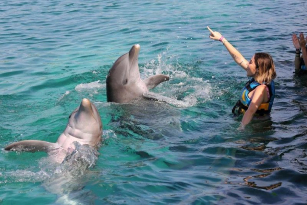 A tourist performs an activity with dolphins, at a Dolphin Discovery habitat, in the Isla Mujeres resort, Mexico, File Photo by Alonso Cupul.EPA