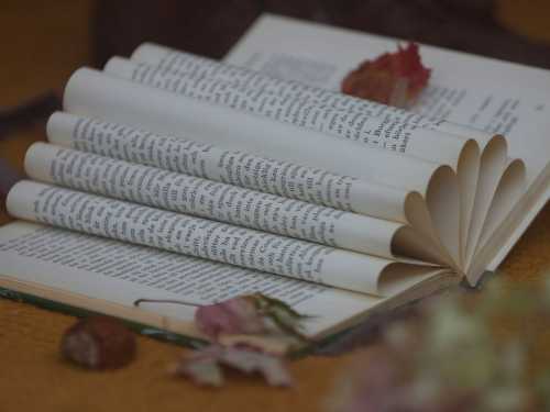 Що читати, якщо сумно? 5 книжок для затишку і настрою.