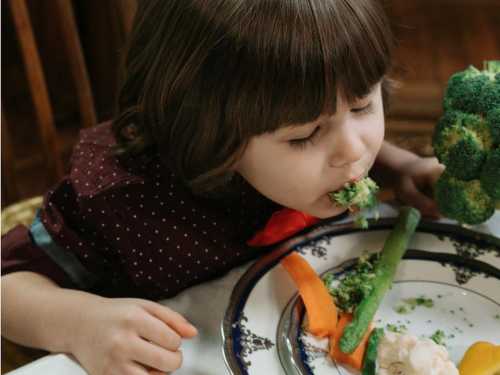 Першочергові 4 правила етикету за столом для дітей.