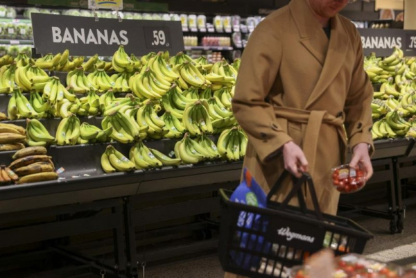 Banana workers in Ecuador say they are forced to return to plantations soon after fumigation -- before safety periods end -- and that medical tests have found traces of the chemical in exposed workers. File Photo by Sarah Yenesel/EPA