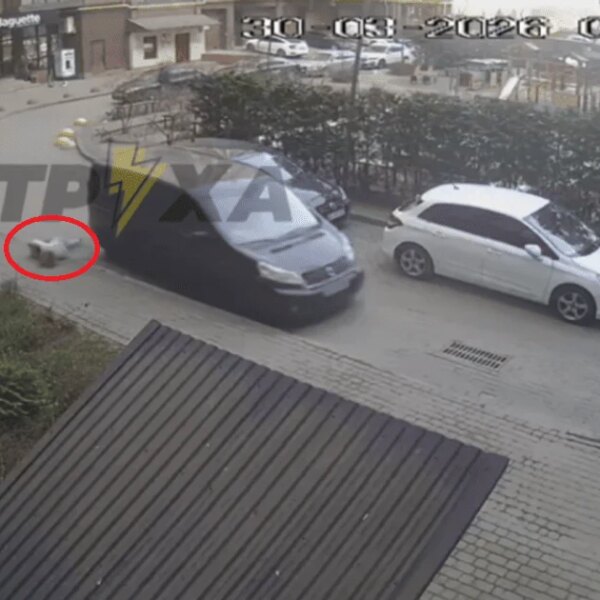 Головна 23 Вагітна лучанка стрибнула з мікроавтобуса ТЦК, щоб зупинити мобілізацію чоловіка, і тепер існує загроза…