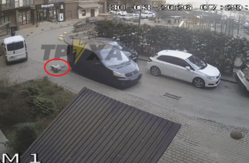 Головна 36 Вагітна лучанка стрибнула з мікроавтобуса ТЦК, щоб зупинити мобілізацію чоловіка, і тепер…