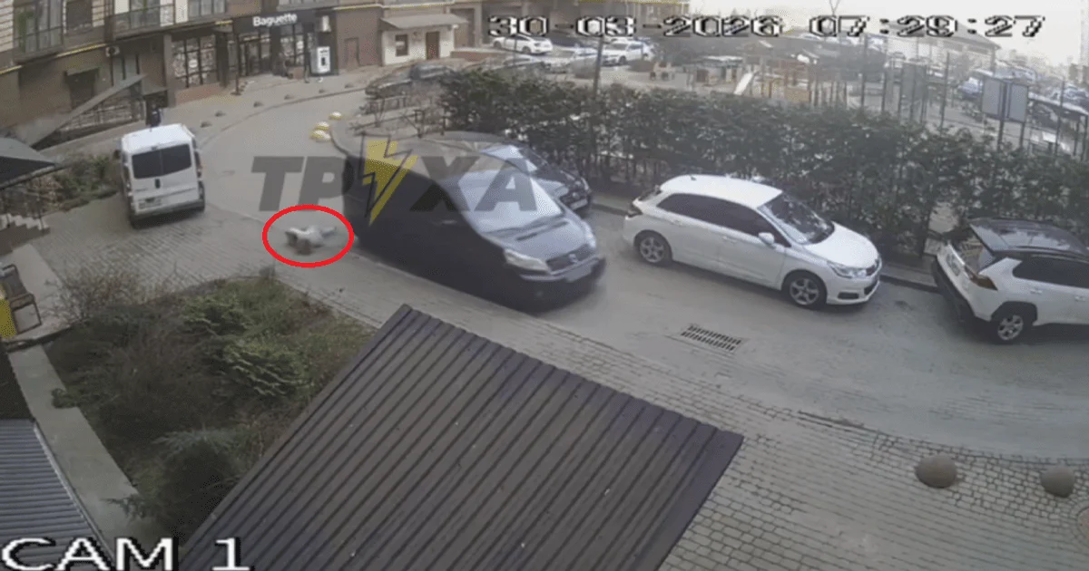 Скриншот з відео на камерах спостереження