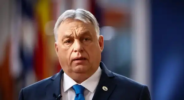 Журналіст виявив, що літаки Орбана могли вивозити готівку та коштовності з Росії. 12