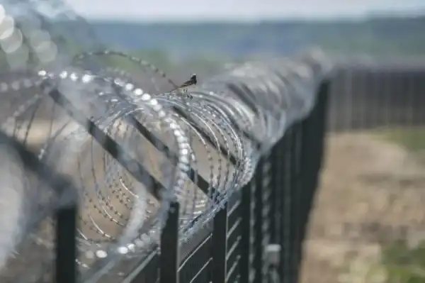 Закарпаття: офіцер прикордонної служби втік за кордон, покинувши свій пост. 6