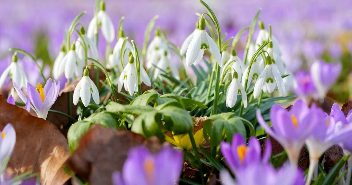 Якою буде погода на вихідних в Україні Якою буде погода на вихідних в Україні