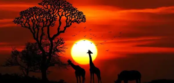 Африканський континент тріскається: експерти попереджають про гігантську підземну&hellip;