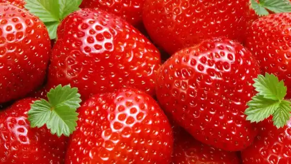 На прилавках немає нестачі: в Україні очікується сезон&hellip;