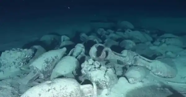 Римська морська катастрофа: науковці дослідили, як 2000 років тому зводили надійні кораблі