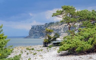 Шведське попередження: Росія потенційно може захопити балтійський острів