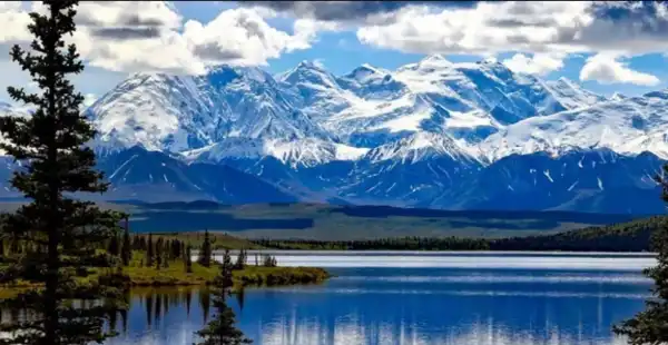 Істоти з льодовикового періоду ожили на Алясці