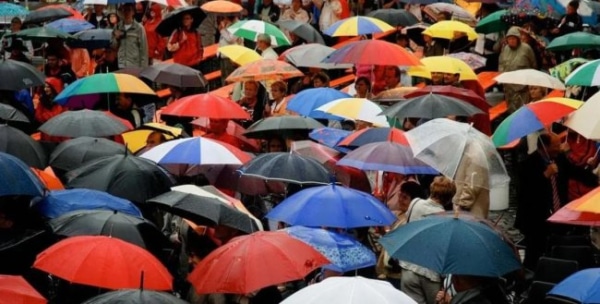 Головна 65 Геніальний спосіб обрати парасольку, про який ви не знали: як…