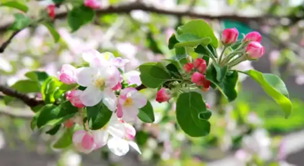 Діденко повідомила, коли в Україні врешті-решт стане тепліше.