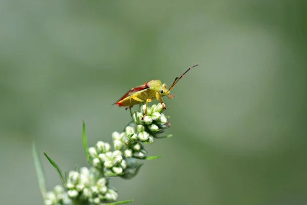 Народні прикмети 14 квітня / © pexels.com