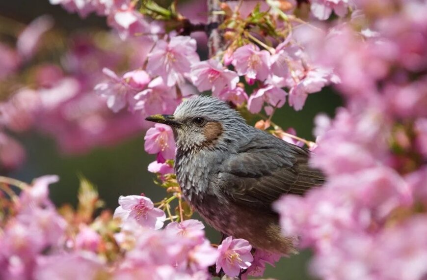 28 квітня День ангела: кого і як вітати з іменинами