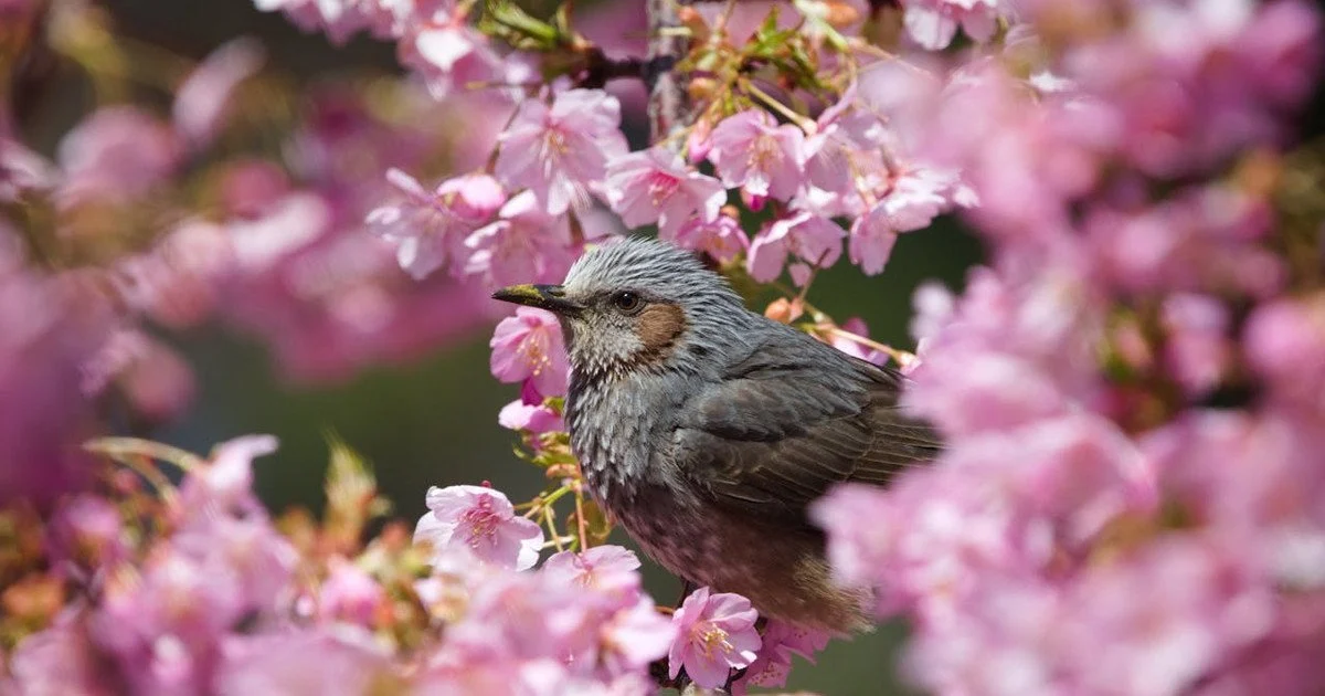 Який сьогодні, 28 квітня, день ангела