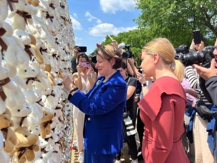 20 000 ведмедиків на National Mall. У Сполучених Штатах відбулася акція на захист викрадених Росією українських дітей 12