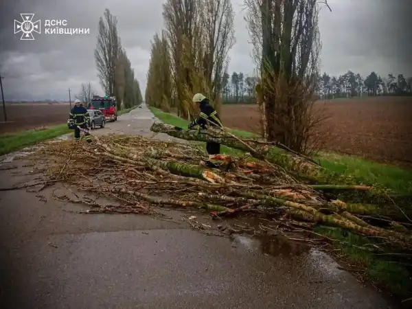 Шторм залишив без світла понад 700 сіл та&hellip;