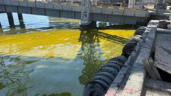 Удар по порту "Чорноморськ": еколог оцінив масштаби екологічної катастрофи 24