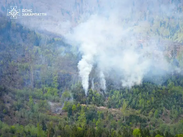 Масштабну лісову пожежу в Карпатах вдалося стримати, триває ліквідація окремих осередків задимлення від сухої трави. 20