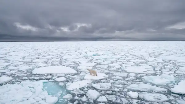 Арктичний морський лід досяг найнижчої позначки за всю історію спостережень, викликаючи занепокоєння у науковців 4 Арктичний морський лід досяг найнижчої позначки за всю історію спостережень, викликаючи занепокоєння у науковців 4