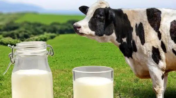 Українців попередили про підвищення цін на молочну продукцію: названо терміни 18