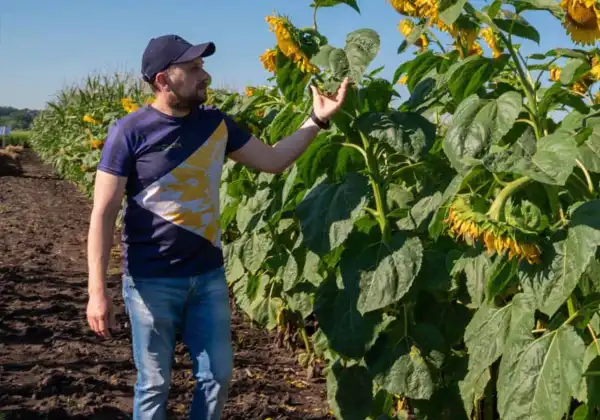 Поточна зайнятість в Україні: які винагороди пропонуються 18 Поточна зайнятість в Україні: які винагороди пропонуються 18