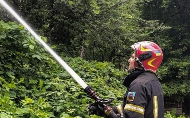 Екоцид, спричинений Росією, оцінили в 6,9 трильйона гривень для України. 9