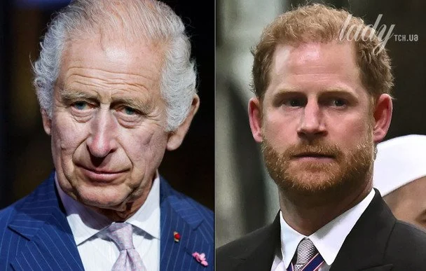 King Charles and Prince Harry / &copy; Associated Press