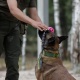Правоохоронці спільно тренувалися на Київщині 29