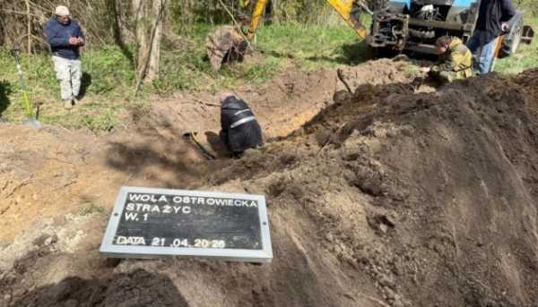 Головна 31 Під час ексгумаційних робіт на Волині знайшли останки…