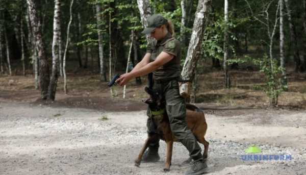 Правоохоронці спільно тренувалися на Київщині 17