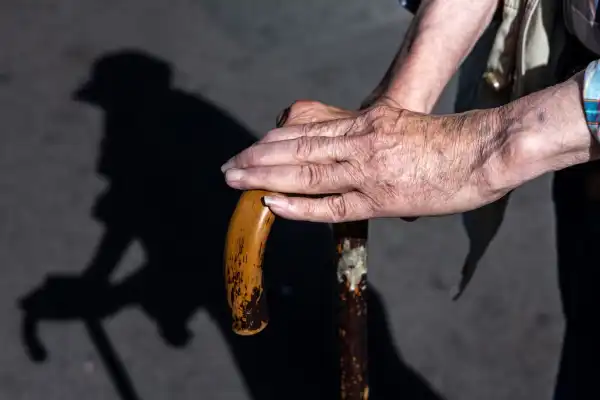 Головна 62 Згідно з висновками вчених, максимальна тривалість життя людини,…
