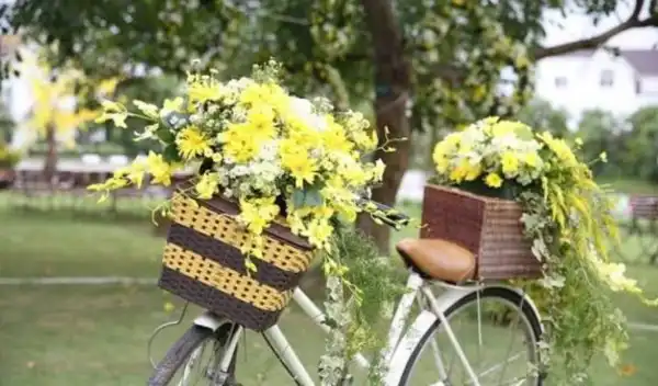 Дайте старим горщикам для квітів нове життя: 5&hellip;