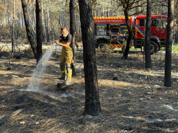 Українські пожежники прибули до Франції для боротьби з великою лісовою пожежею 6 Українські пожежники прибули до Франції для боротьби з великою лісовою пожежею 6