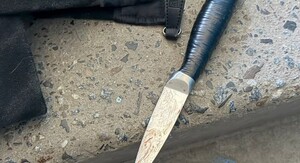 У Німеччині юнак скоїв убивство у навчальному закладі, серед постраждалих – школярка 6