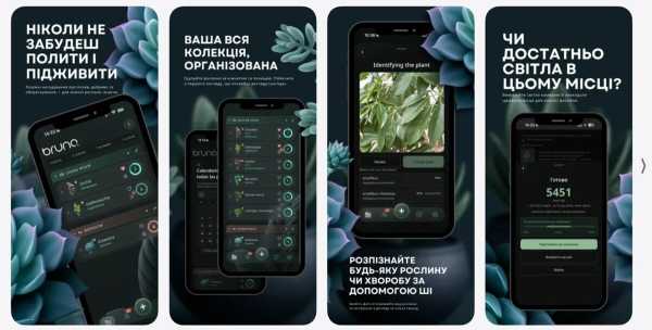 Як працює «оранжерея в телефоні» дизайнерки, яка започаткувала додаток BRUNQ для догляду за кімнатними рослинами 4 Як працює «оранжерея в телефоні» дизайнерки, яка започаткувала додаток BRUNQ для догляду за кімнатними рослинами 4
