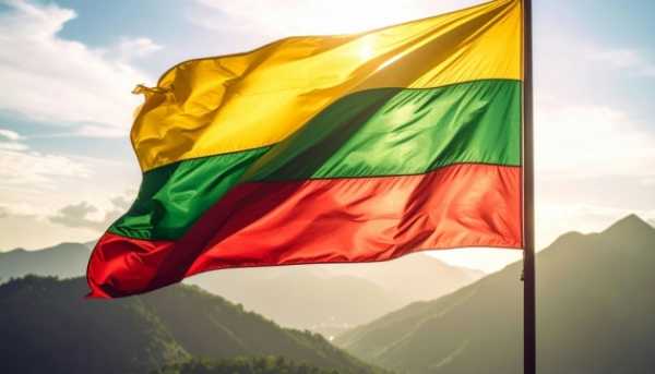 Литва не виключає, що дрон, збитий над Латвією, міг бути спланованою акцією, здійсненою під чужим ім’ям.