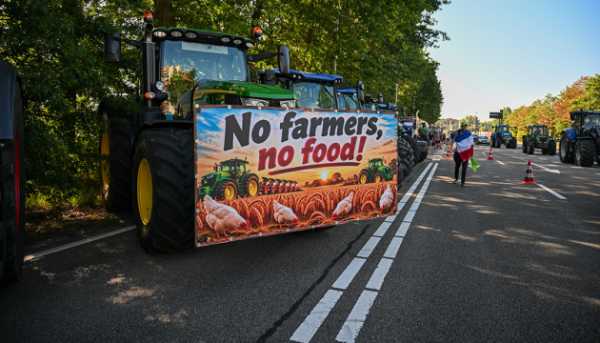 У Нідерландах сотні аграріїв висловили протест проти екологічної політики.