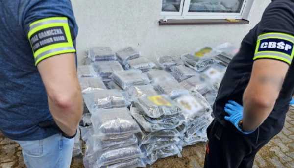 Поліцейські в Польщі вилучили майже 500 кілограмів наркотиків. 7