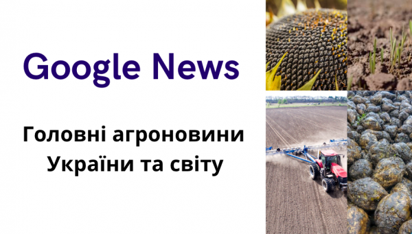 Syngenta нарощує виробництво гібридів соняшнику